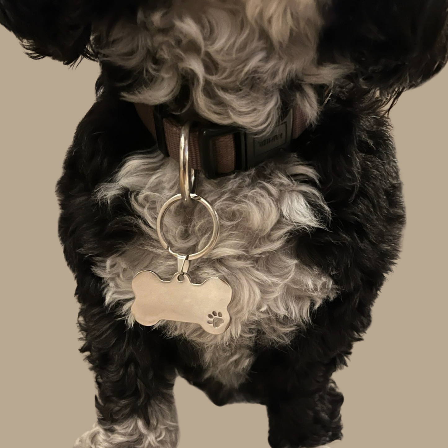 Dierenpenning